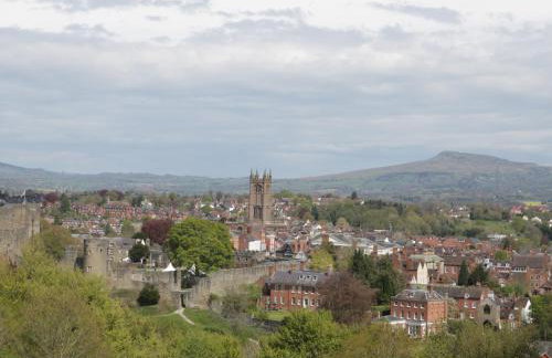 Woodpecker Cottage - Foto 19