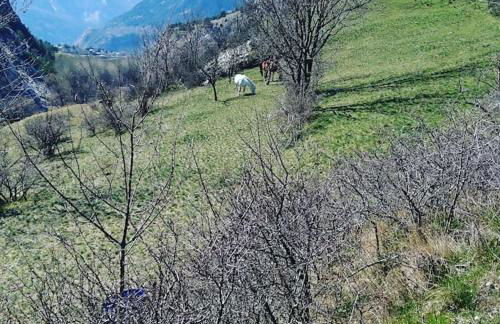 Côté-Bourget 4 pers L'ORGERE proche La Norma Aussois - Foto 11