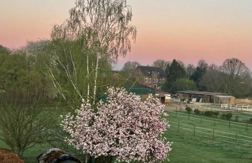 SÜDSEE GLÜCK - Maisonette Deluxe App auf 2 Ebenen - auf der Insel Xanten-Wardt zwischen Südsee-Nordsee - Foto 28