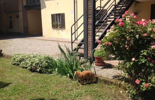 Agriturismo La Morosina - Photo 47