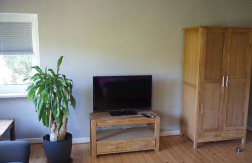 Grüne Oase - Foto 7