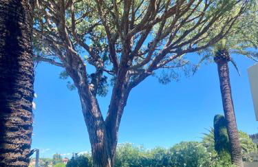 Studio 5 minutes Cannes et plages, terrasse, piscine - Foto 25