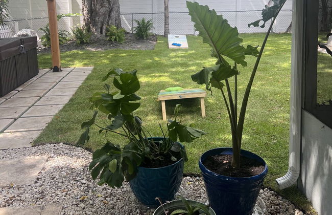 Seagrass Cottage - Foto 57