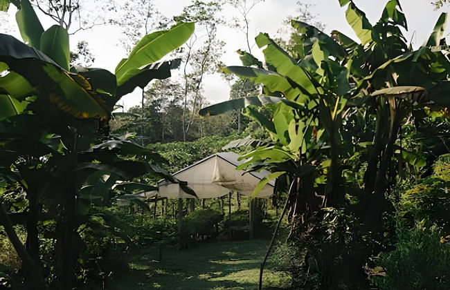 Balsa Nueva Lodge - Foto 20