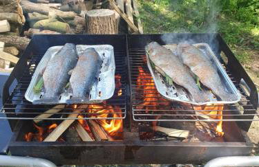 Opawski Zakątek 43 - Foto 63