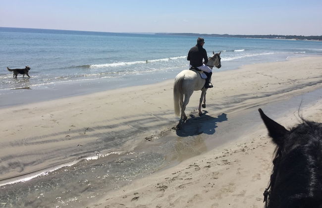 Masseria Prosperi - Photo 46