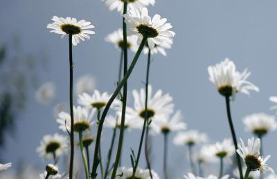 Two unique cabins wrapped in beautiful welsh scenery - Foto 19