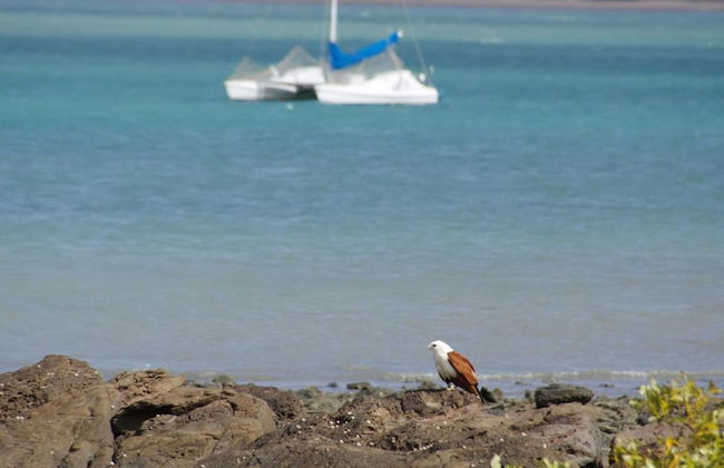 Alexander Beachfront Apartments - Foto 30