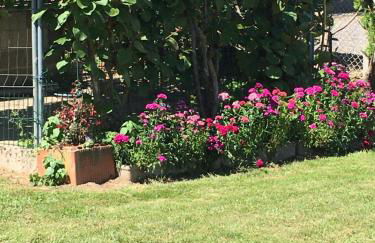 JARDIN DE CAMPAGNE - Foto 30