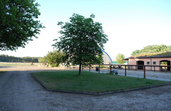 Ferienwohnung auf Pferdehof bei Neustadt - Foto 20