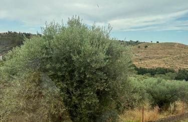 Casa da Miquinhas - Foto 23