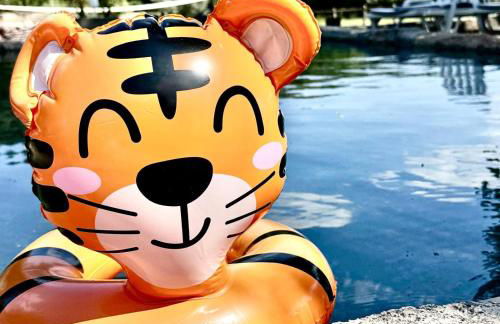 Quinta Vale da Prata - Foto 12