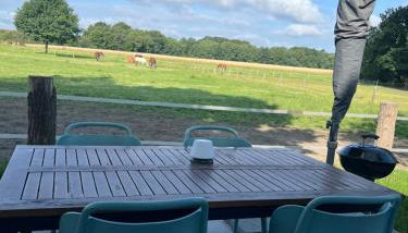 Tiny House auf Pferdehof - Foto 3