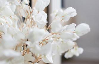 Comfortable 3-Bed House - Foto 21