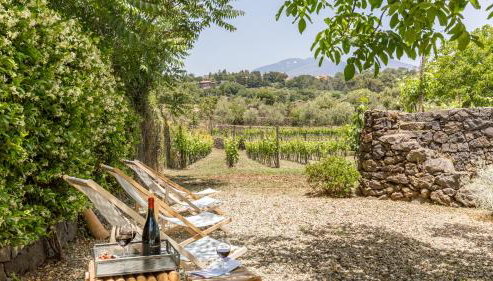 Sciaraviva - Photo 3, Garden, sunbed, Garden view