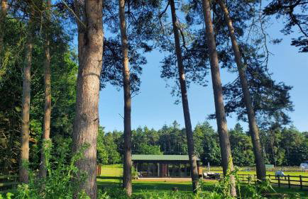 The Retreat 1 bed cabin in the woods - Foto 1