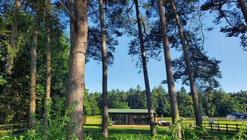 The Retreat 1 bed cabin in the woods - Foto 1, Garden view