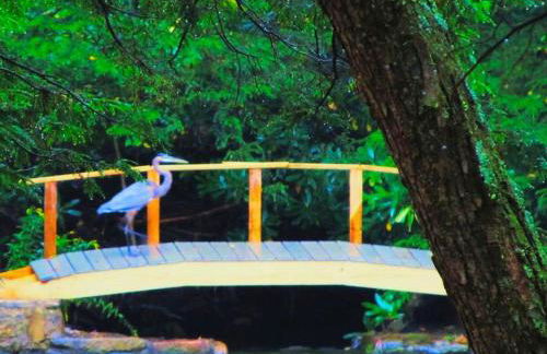 Stunning Weekend Getaway near Hickory Run State Park in Pennsylvania - Photo 25