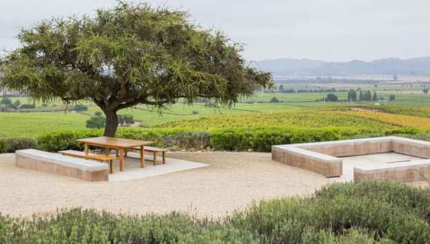 Casas del Bosque Winery Tour - Foto 3