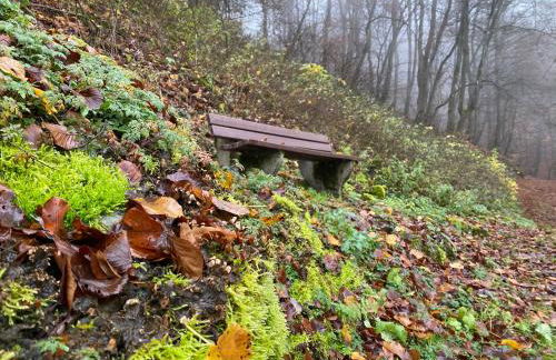 Waldläufer Brilon - Foto 57