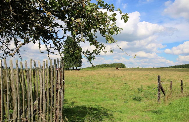 Spacious Country Villa - Foto 29