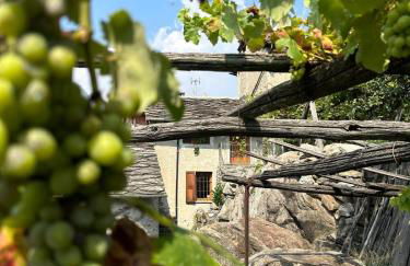 La Casa nel Nebbiolo - Foto 16