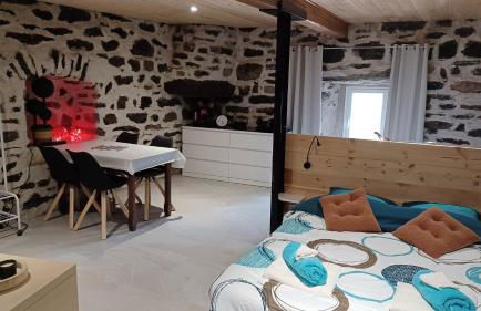 Gite Le Buisson - Spa and sauna - Foto 12