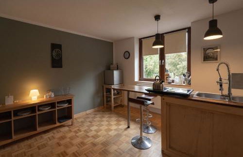 Aparthotel & Seminarhaus Wolkentor - Foto 17