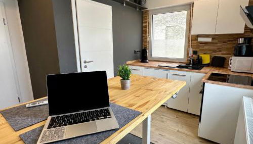 Wohnen auf Zeit - Biebesheim - Foto 2, stove