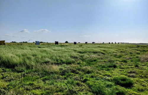 Drei-Insel-Blick Neßmersiel - Foto 29