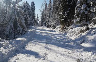 Skalny Zakątek z Grotą Solną na wyłączność - Foto 53