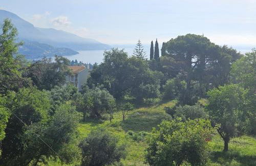 Sylvia's Sweet Home - Foto 51