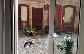 Blumenhaus - Foto 15