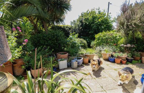 The Limes - Photo 31