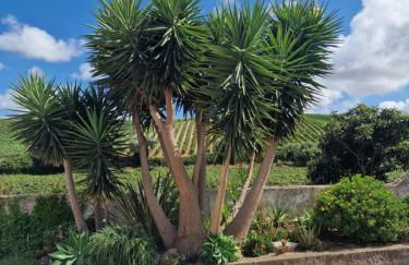 Casa Nikana - Foto 4