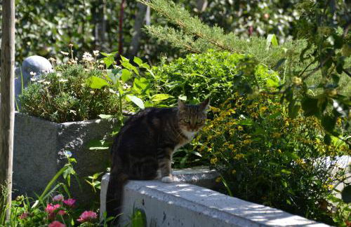 Burggräflerhof - Photo 5