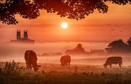 Two-Bedroom House in Beverley Centre with Parking - Foto 25