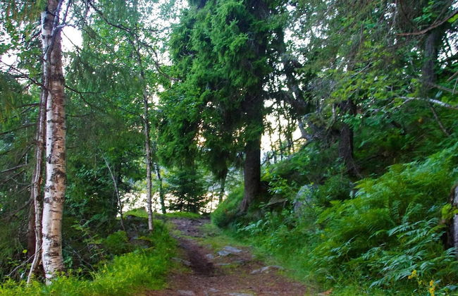 6 Person Holiday Home in Passebekk-by Traum - Foto 28