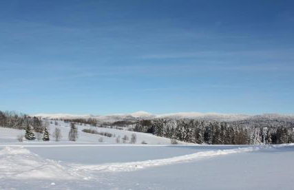 Ferienwohnung Schreiner - Foto 9