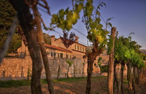 Villa Škavre - Foto 52