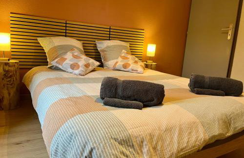 Cocon de la belle de Vosges 3 chambres - Foto 22