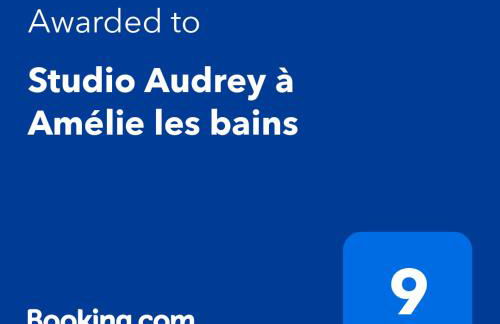 A côté des cures grand studio Audrey idéal rénové avec goût parking wifi dernières disponibilités août oct nov - Foto 9