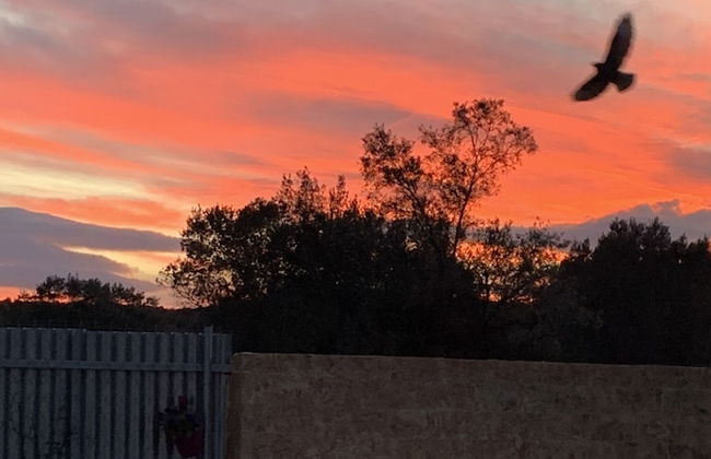 Ecological Studio Flat in Kalyvia Thorikou, Greece - Foto 15