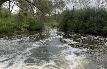 The Coach House - Photo 23