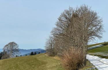 Blackforest Homestay Apartments - Foto 37