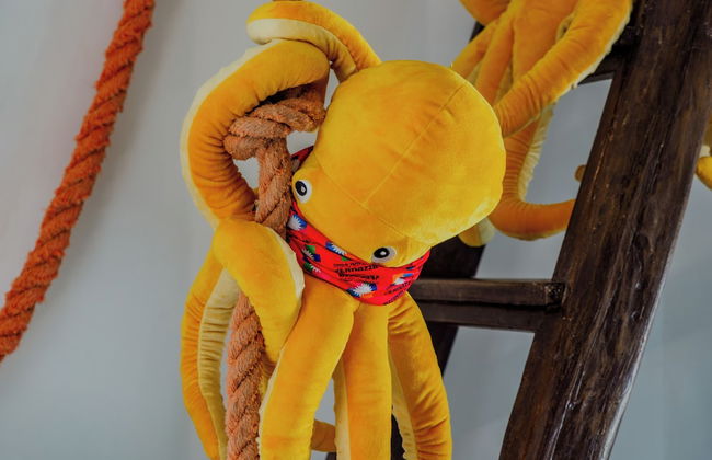 Muin a Ventu Historical Tower - Foto 5