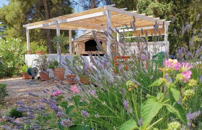 Dino - Gorgeous Garden - SA1 Zavala - Photo 33