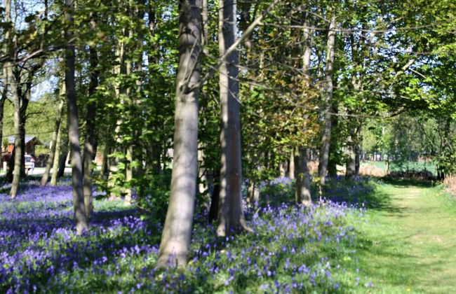 Hollicarrs - Wildflower Lodge - Foto 24