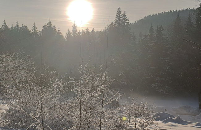 Club Rezidence Pod Lučí Loučovice - Foto 40