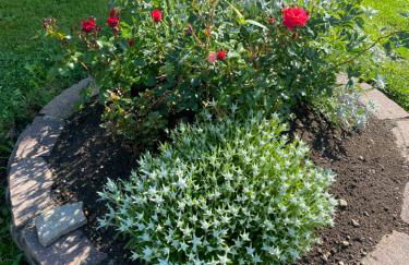 Chalet Romy - AP Sasplat - Photo 30